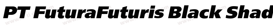 PT FuturaFuturis Black Shadow Cyrillic字体转换